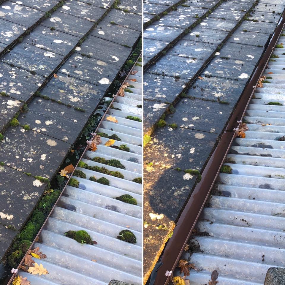 Gutter Cleaning